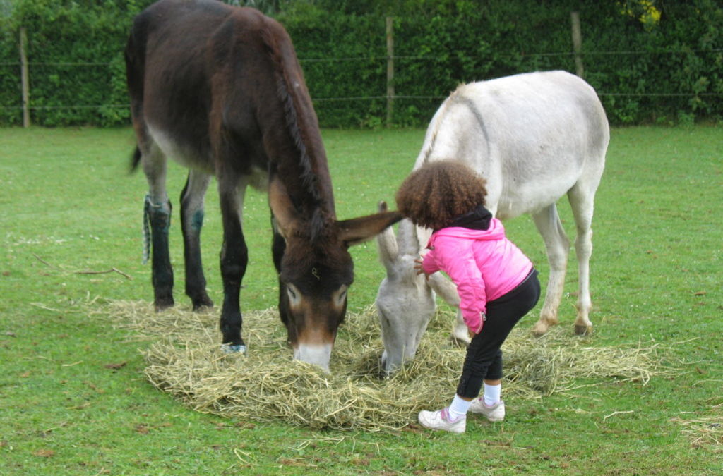 LES STAGES EXTRAORDINAIRES DE LA FERME NOS PILIFS