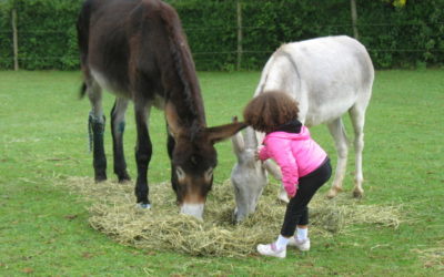 LES STAGES EXTRAORDINAIRES DE LA FERME NOS PILIFS