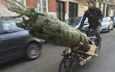 Nos sapins à vélo !