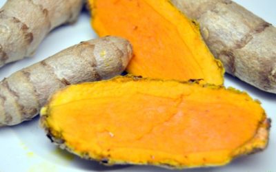 Le CURCUMA : sa culture, sa cuisine et les secrets ayurvédiques du curry