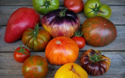 C’est la reprise des ateliers des Jardins de Pomone.