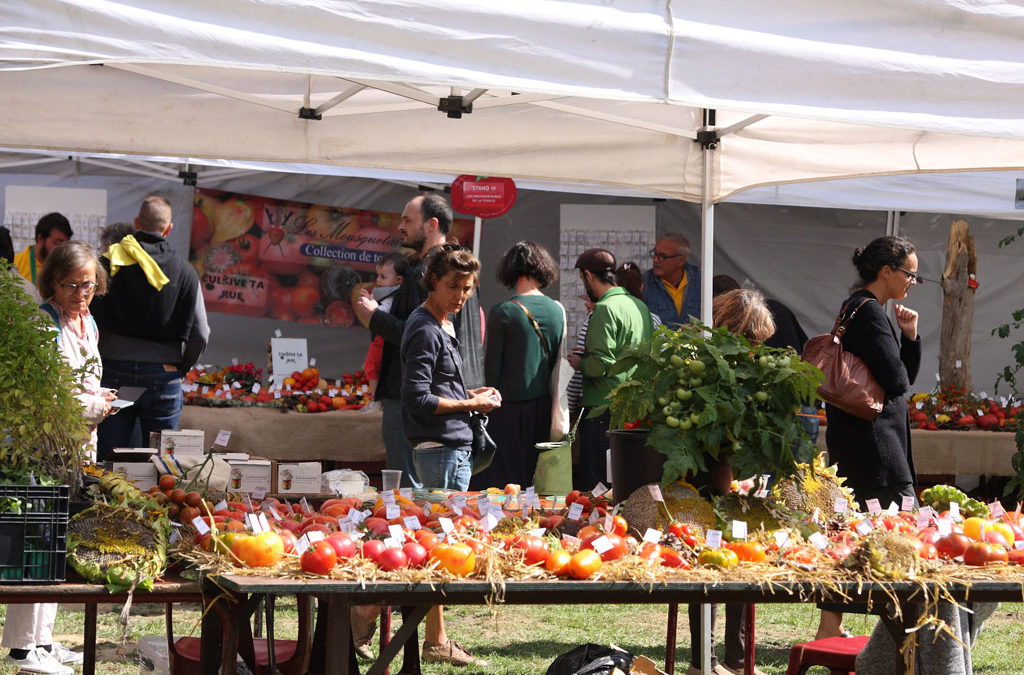 La 6ème édition du Brussels Tomato Festival