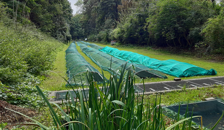 Les brèves de la Ferme