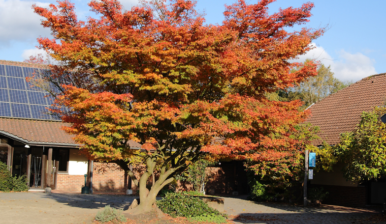 UNE FETE D’AUTOMNE POUR SE RENCONTRER