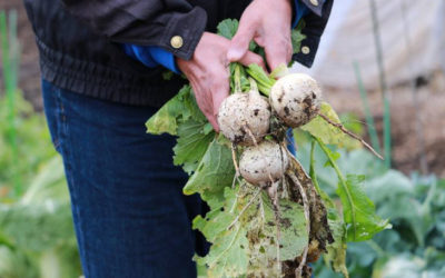 LES ATELIERS DES JARDINS DE POMONE