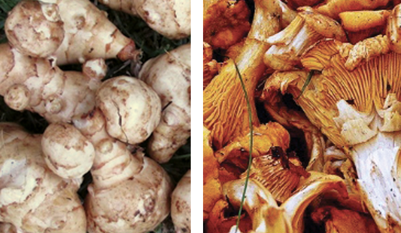 RECETTE d’automne d’Anne Bortels