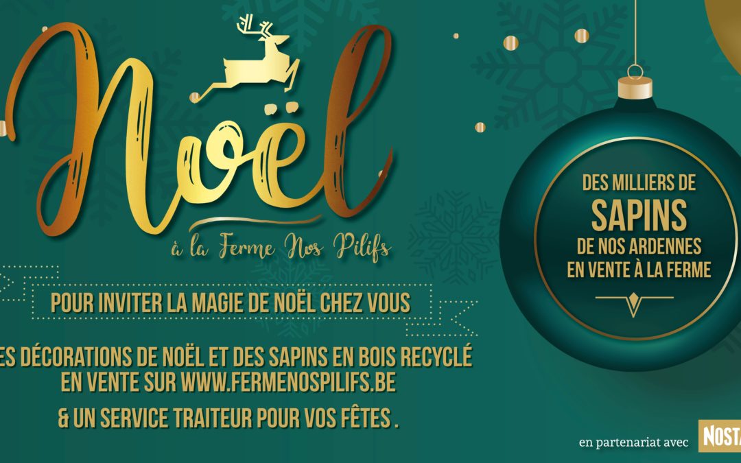 LE DÉCOMPTE A COMMENCE, C’EST BIENTÔT NOËL !