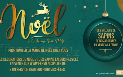 LE DÉCOMPTE A COMMENCE, C’EST BIENTÔT NOËL !