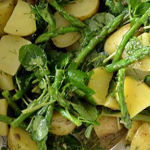 SALADE DU JARDIN, ASPERGES VERTES AU CRESSON