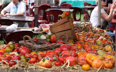 LA FÊTE DE LA TOMATE ?! VRAIMENT ?