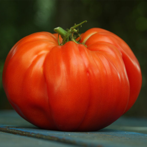 tomates