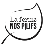 150x160_nos_pilifs