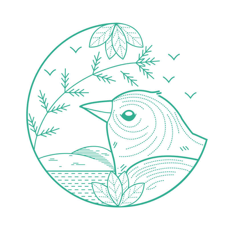 800_circuit_oiseau