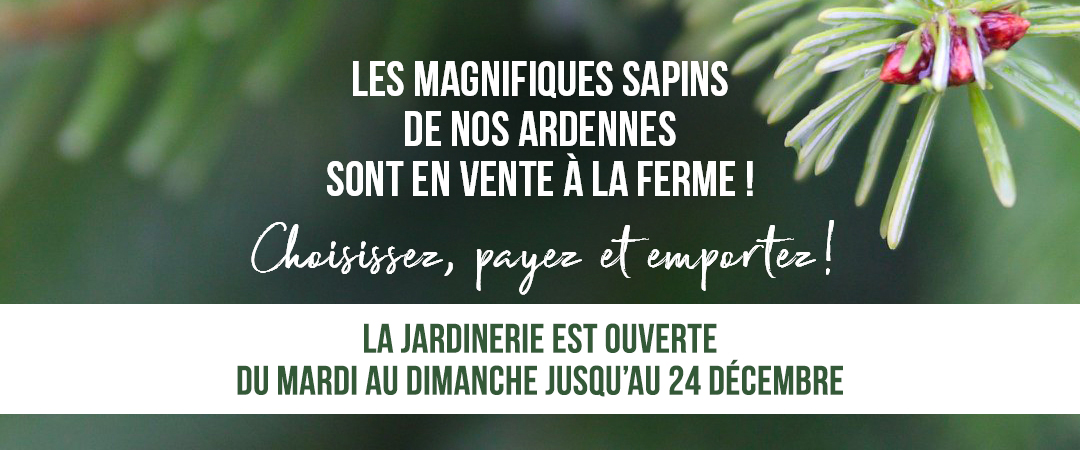 ouverture_sapins_21